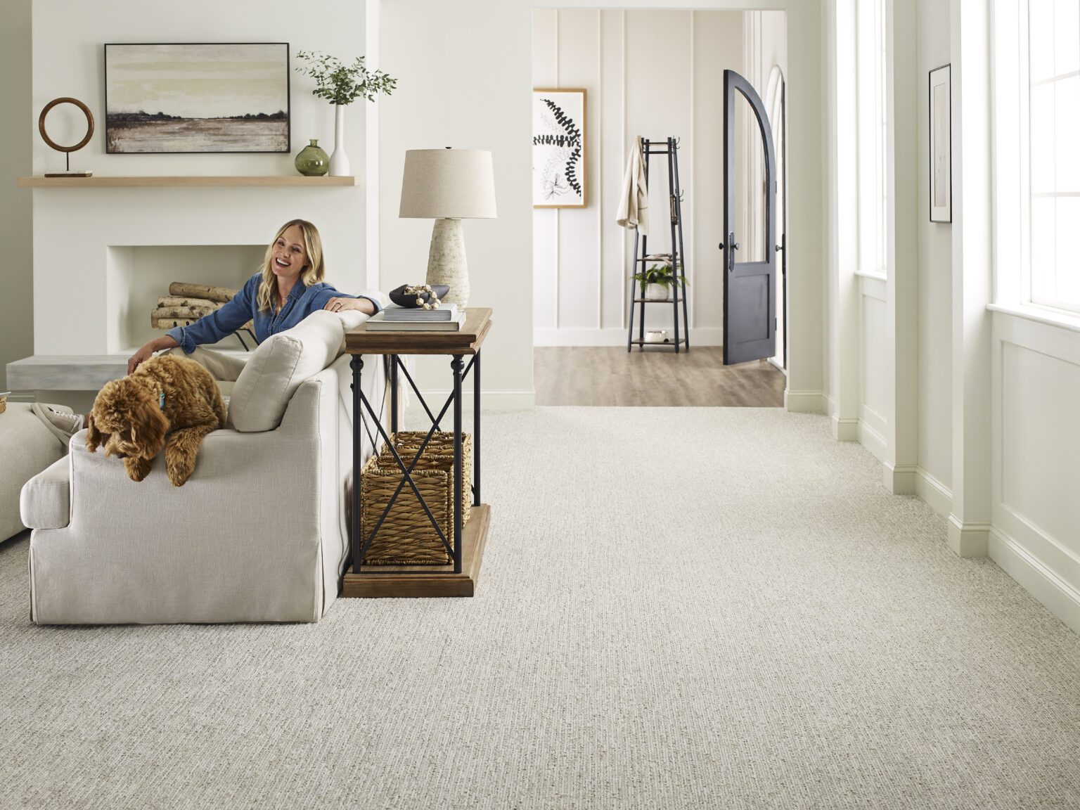 order carpet online, carpet and company