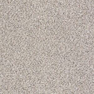 TAKE THE FLOOR ACCENT II