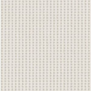 SOFT SYMMETRY NET