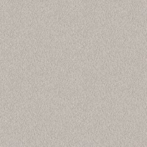 ALLURING CANVAS